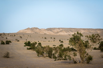 Fototapeta na wymiar View of Maranjab Desert in Iran