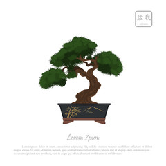 Bonsai tree in pot on white background. Text in japanese: "Bonsa