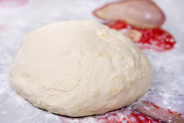 Mixed and prepared dough for pizza