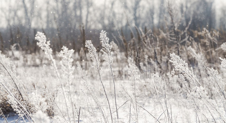 Zima © Dejan Gospodarek