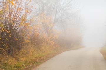 Obraz na płótnie Canvas Road through a golden autumn forest with fog and warm light