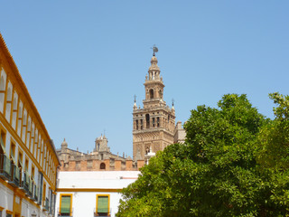 Fototapeta na wymiar Catedral de Sevilla, España