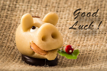 Good luck Marzipanschweinchen