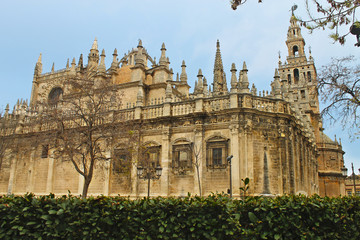 Fototapeta premium Catedral de Sevilla, España