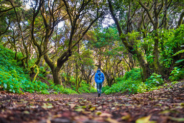 Man hiking in mystic forest, El Hierro, Canary Islands, Spain