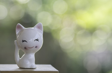 Doll cat sat smiling on the background bokeh.