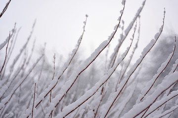 The first snow in season.