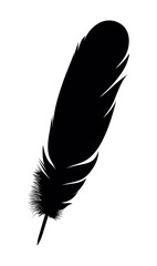silhouette feather on a white background, vector illustration