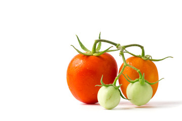 fresh tomato on white background.