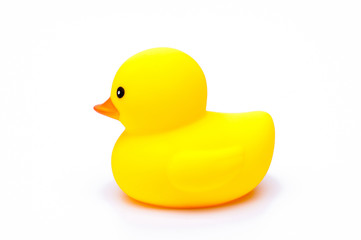 yellow rubber duck on white background.