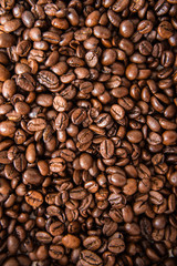 Fototapeta premium Coffee beans in white background
