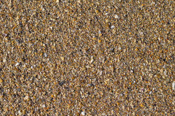 Sand beach background texture. Sand marine background texture