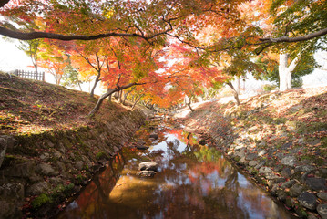 water path autumn kyoto, Japan