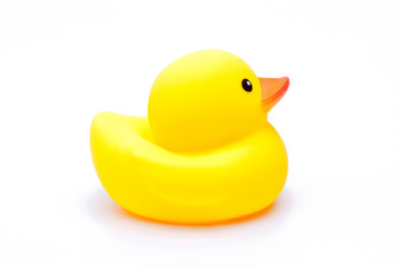 yellow rubber duck on white background.