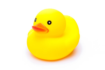 yellow rubber duck on white background.