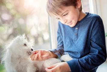 Boy with small puppy dog best friend