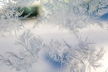 Winter Frost Patterns on Window