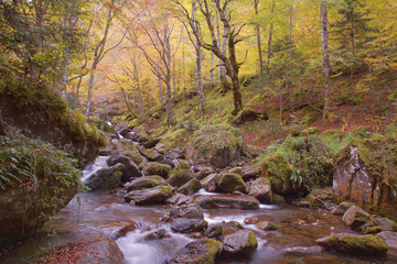 Belles couleurs d'automne dans les pyrénées
