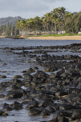 Tropical beach on Hawaii, USA.