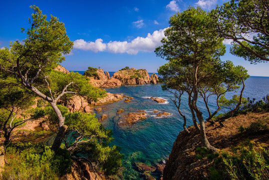 calanque marquesa &agrave; Tamariu