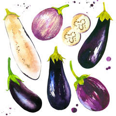 Watercolor vegetables. Fresh farm food. Set of different kinds of eggplants. Simple painting sketch. Violet set.