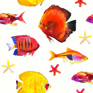 Seamless pattern with tropical fish. Watercolor illustration with hand drawn aquarium exotic fish on white background.
