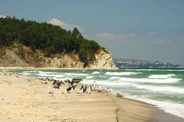 Fototapete bei efototapeten.de bestellen   