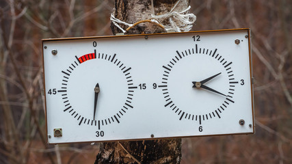Great watch, big clock on the tree in the forest. Big dual clock for competition, orienteering.