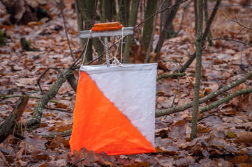 Orienteering in the woods, a checkpoint on the background of trees and leaves. Сontrol point.