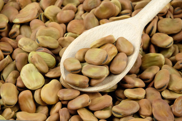Dried broad beans on a wooden spoon.