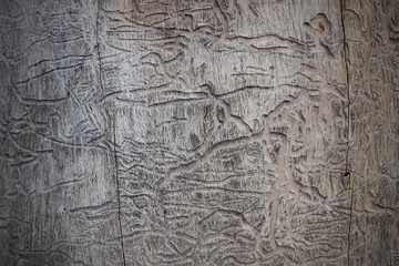old wooden background