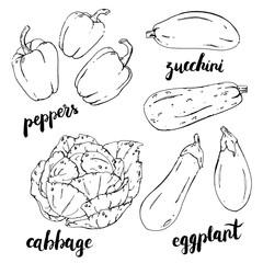 hand drawn set of graphic vegetables peppers eggplant cabbage zucchini with handwritten words on white background
