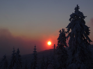 Colorful landscape at the winter sunrise in the mountain forest. Winter view from Jested 