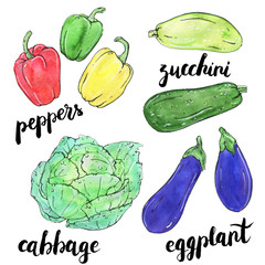 hand drawn set of watercolor vegetables peppers eggplant cabbage zucchini with handwritten words on white background