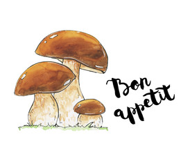 hand drawn watercolor mushrooms Boletus edulis penny bun cep por