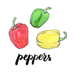 hand drawn watercolor vegetables peppers with handwritten words