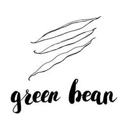 hand drawn graphic vegetables green bean with handwritten wor