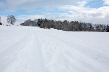 Fototapeta na wymiar Wald im tiefen Winter mit Schnee