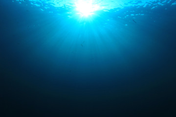 Fototapeta na wymiar Underwater ocean background photo