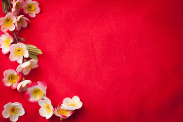 Naklejka na ściany i meble celebrate Chinese New Year background with beautiful blossom.