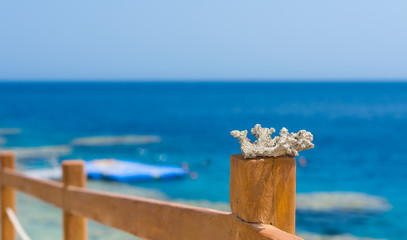 A piece of corals or reefs on a wooden fence with rope inserts a
