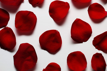 Petals of a red rose on a white wooden table.