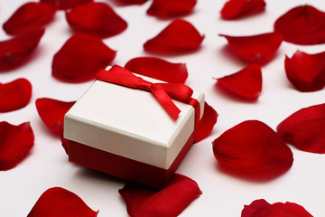 White gift box with a red bow, lies in the petals of red roses on white