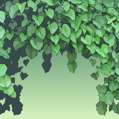 background of dense green foliage