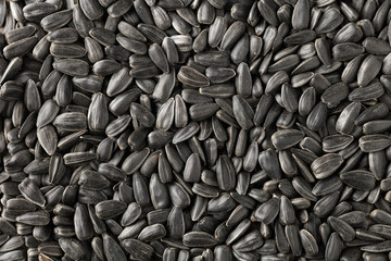 texture of sunflower seeds
