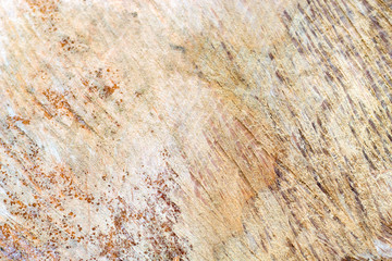 wood texture slice closeup