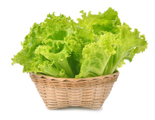 lettuce