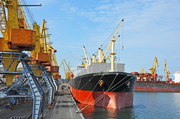 Bulk cargo ship under port crane