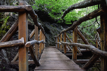 Wooden bridge in bulgarien forest. Way to the forrest - National Nature Reserve 