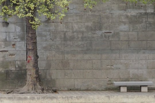 Ruhe an der Seine